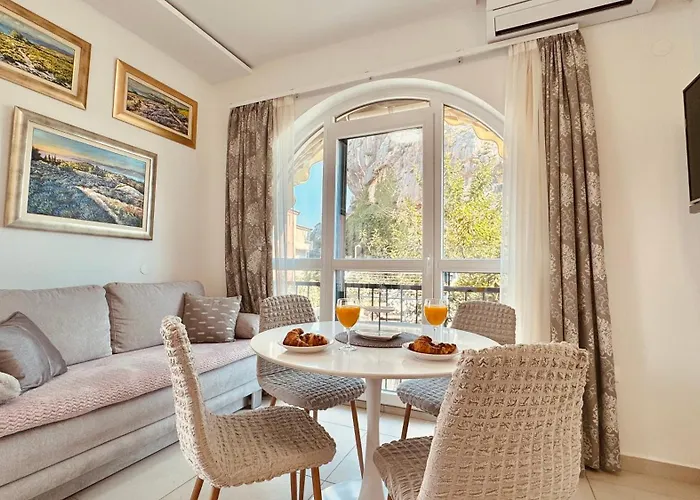 Onix Apartment Split